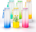 Glass water bottles  17 oz