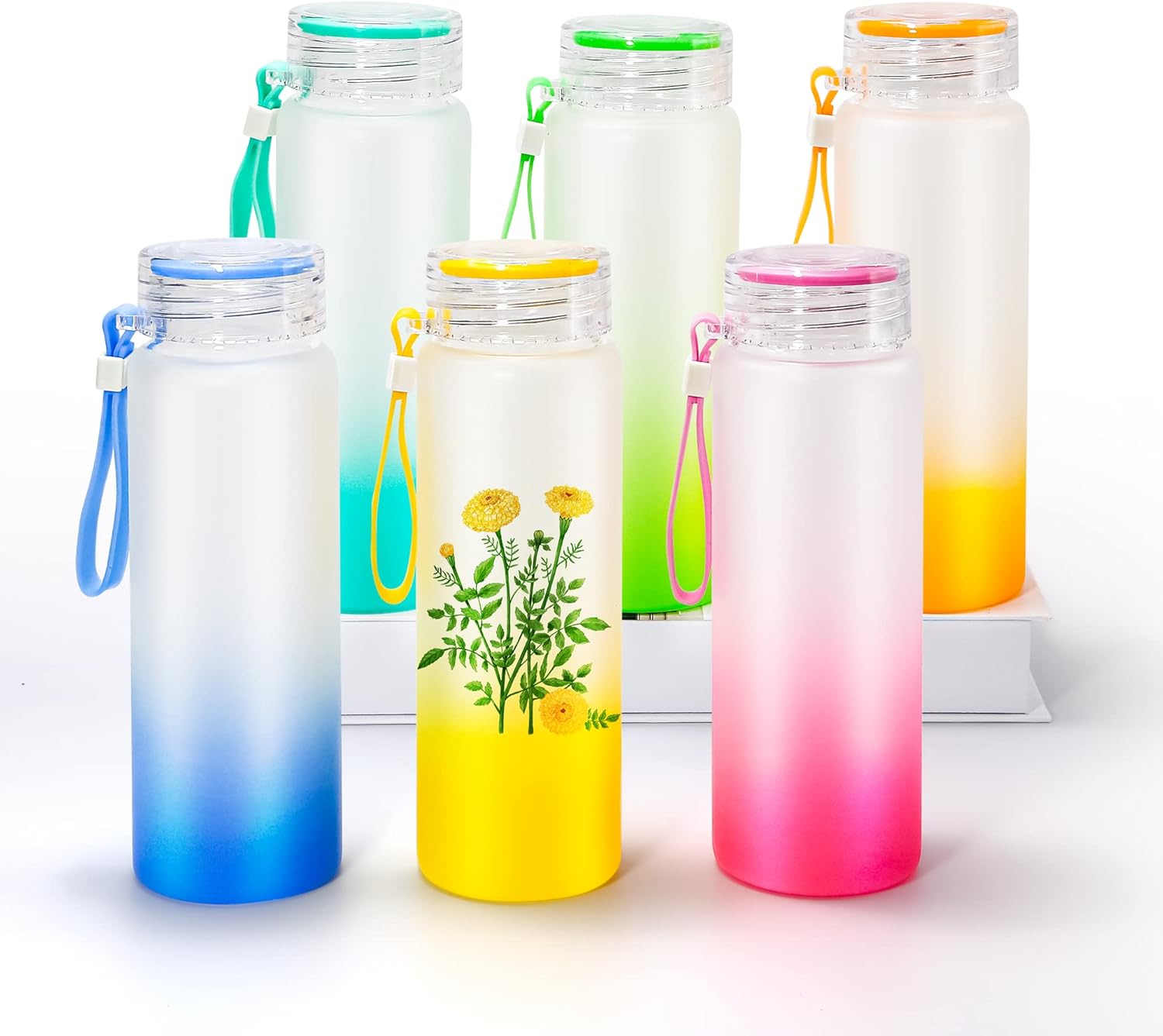 Glass water bottles  17 oz